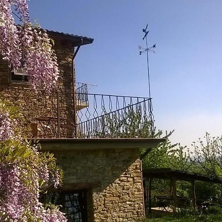 B&B La Civetta Ponzone Zewnętrze zdjęcie